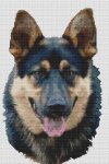 (image for) German Shepherd - Determination